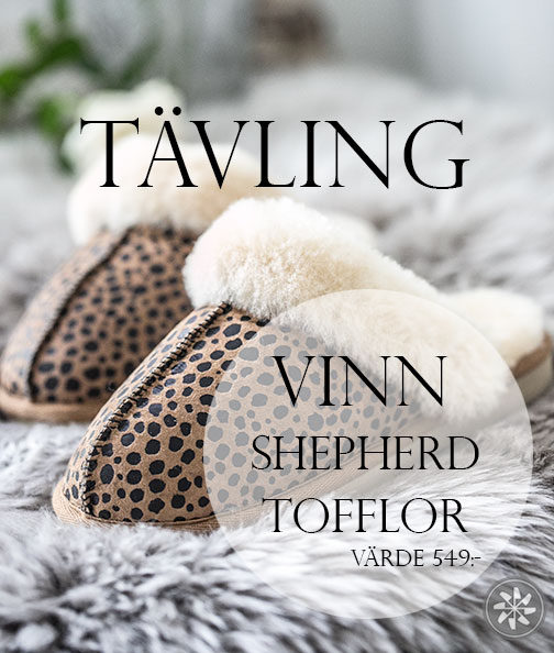 HÖST TÄVLING
